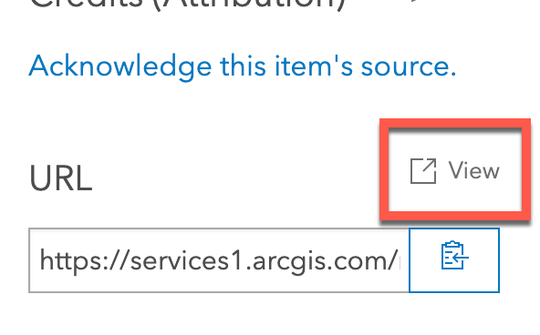 AGOL View Feature Server