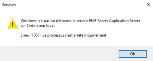 FrenchError1067