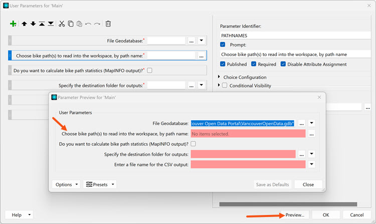 13. Parameter Prompt preview.jpg